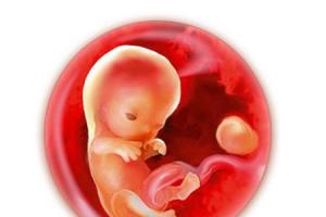 Осма акушерска седмица от бременността: какво се случва в тялото на майката и плода